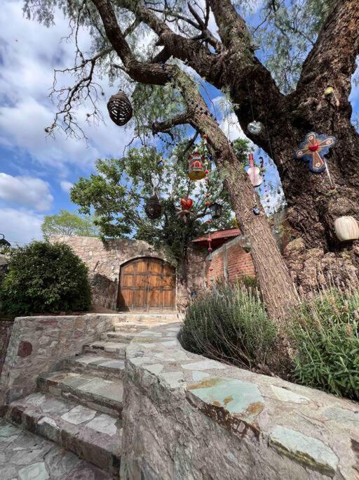 Casa Moly Holiday home